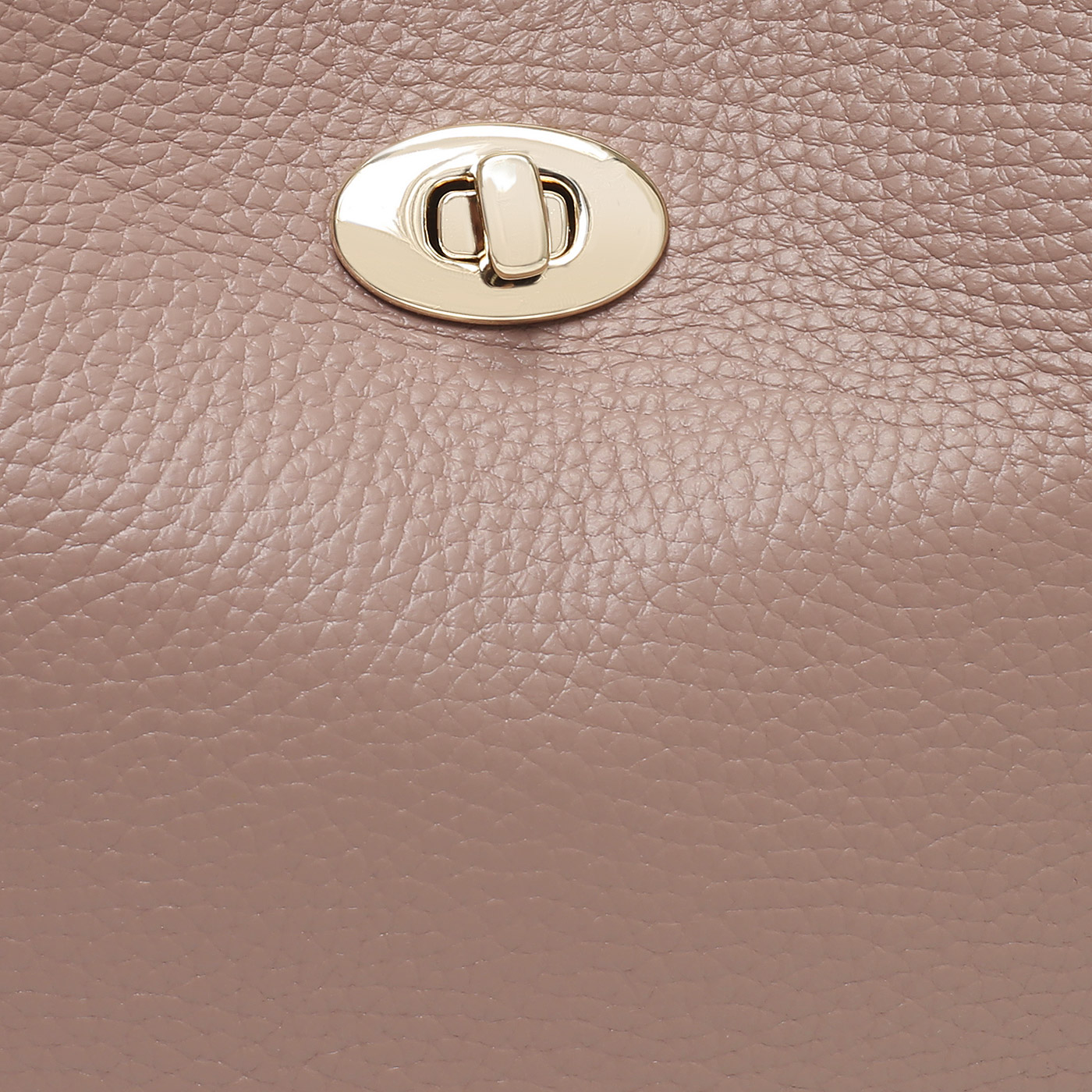 Кожаная сумка Aurelli Soft