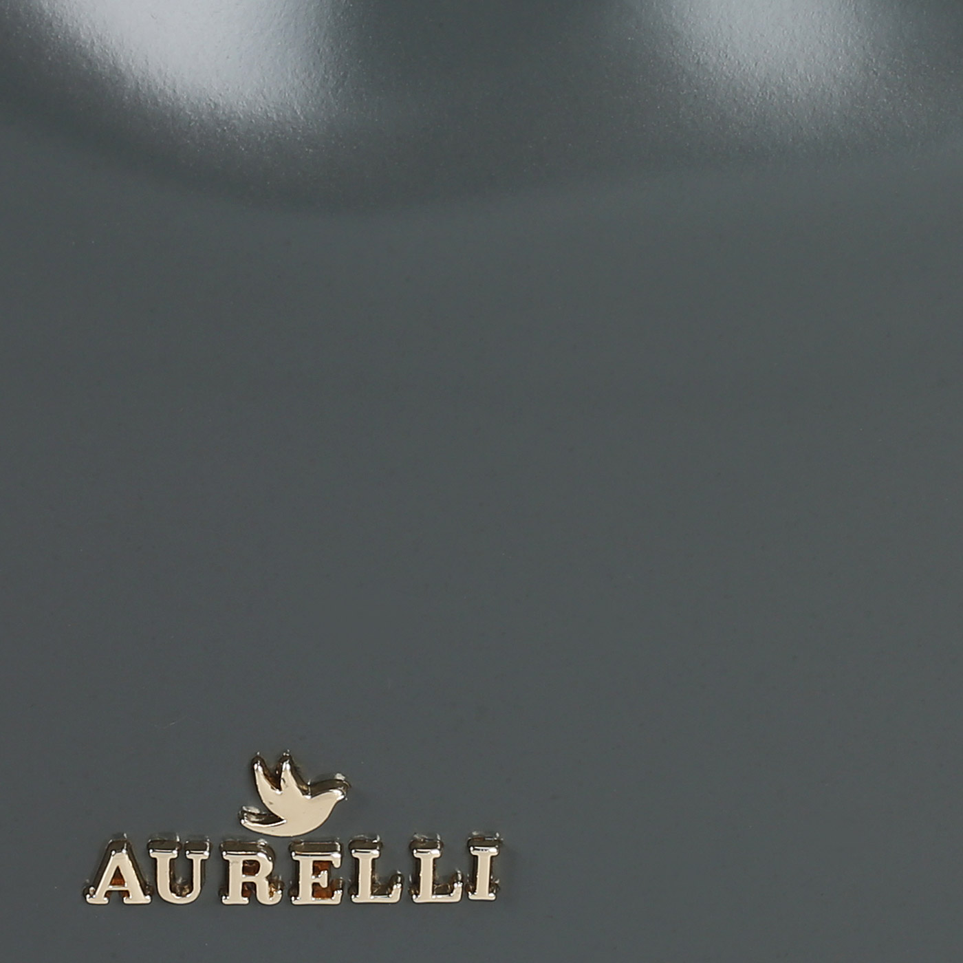 Кожаная сумка Aurelli Pad