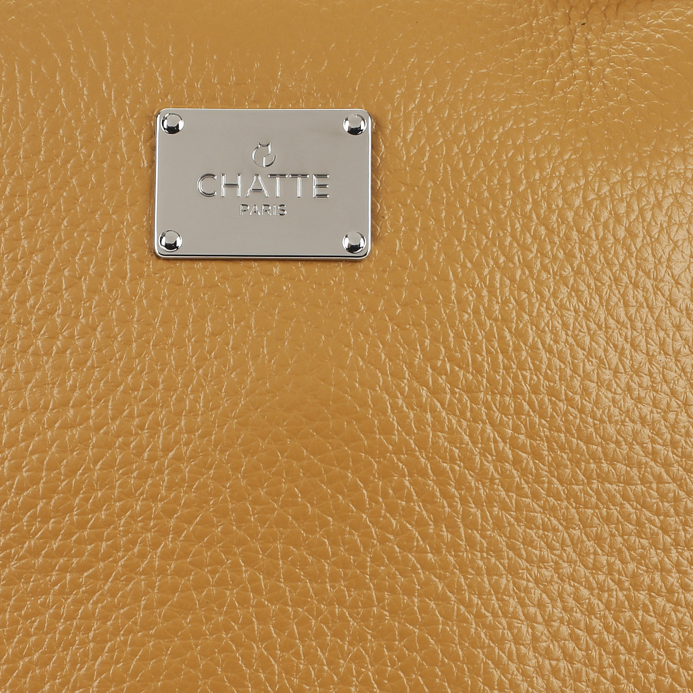 Рюкзак из мягкой кожи Chatte Lion